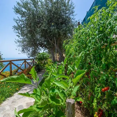 Le Contrade - Sosore Holiday Homes - Amalfi Coast Apartment